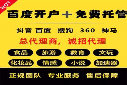 某某sem推广公司在某行业的应用与效果分析